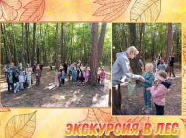 Поход в лес на экскурсию Поход в лес на экскурсию.